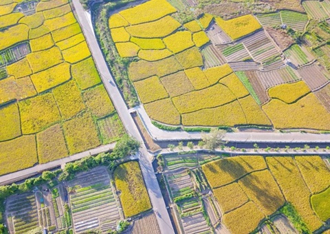 ��ɽ��̨���伯�徭Ӫ�Խ����õ���������