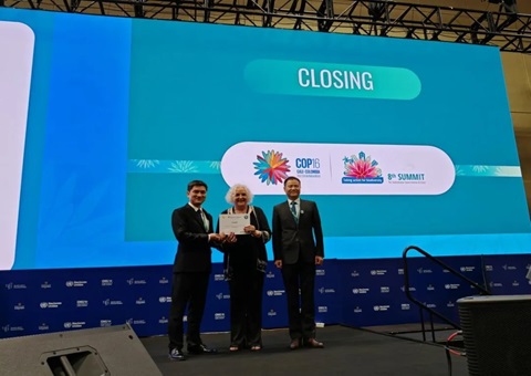 ���缶�����������׸�����������ѡ����Ȼ����ױƽ̨?