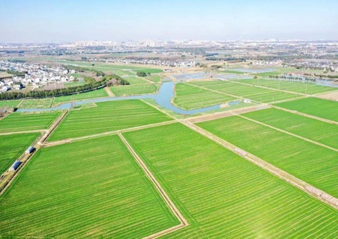 ����ʡȫ���Ƥ�ۺ����ι����Ե���Ŀ���ȳ�70%