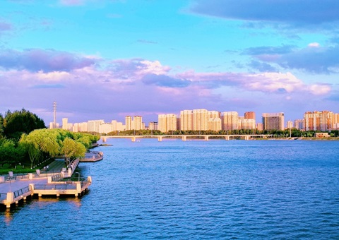 �����е�Ƥ�����г�������������ƽ̨��ʽ��������