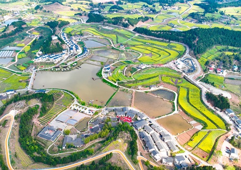 ����������ʵ�ִ��������õر��ղ�˹���