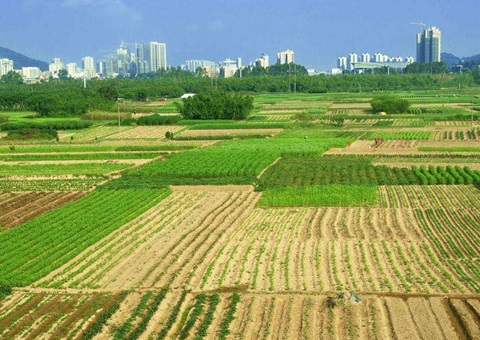 ����ʡ�������õ�Ƥ17.81��Ķ&nbsp;&nbsp;�ջ������ȫ����һ