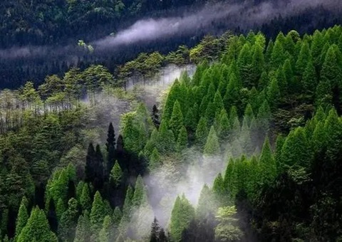 �Ĵ��ƶ���ˮƽ����ȫ���������Ŀ⡱����ʾ��ʡ����