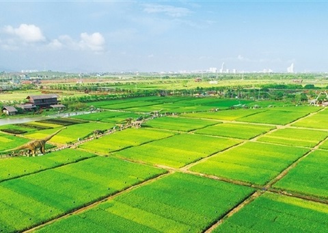 ���϶��ж�����Դ���������ָ��