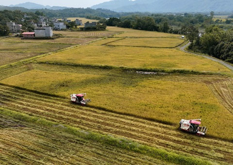 ���Ǹ��в����Ƥ�ۺ�����+��ЧӦ&nbsp;&nbsp;�����������˻���