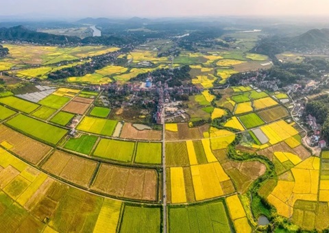 ����ʡ��Ȼ��Դ���䲼һ�����������õر��շ���