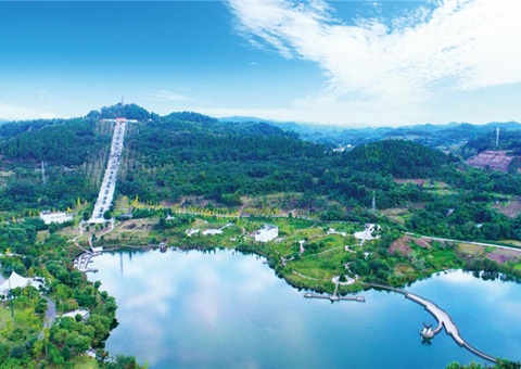 ������������̬�븻�񲢽�����ɫ�뷱��ͬ��