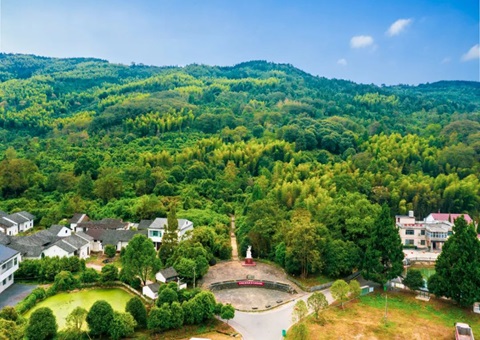 �����ױ���ʵ����άӰ��ģ�͡���Ȩ������Ȩ֤������������