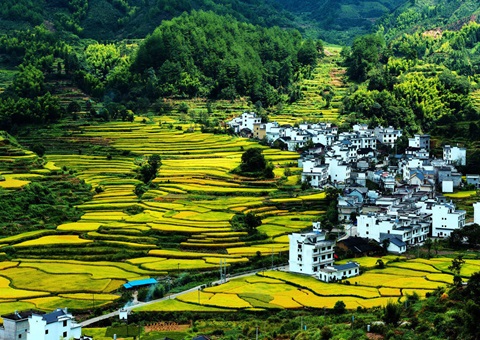 �����й������뼯�徭Ӫ�Խ����õ������Ե�˳��ʵ��