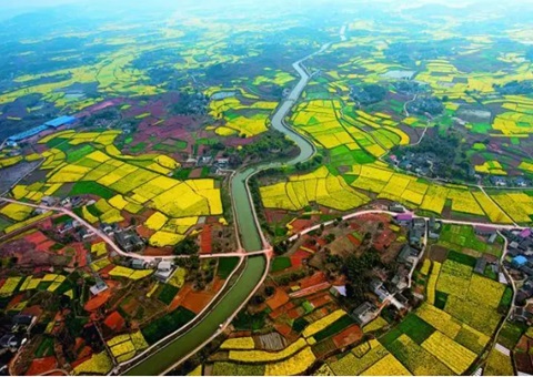 ����̼����5561��&nbsp;&nbsp;&nbsp;�Ĵ��׵�ˮ��ά��̼�������ڳɶ����