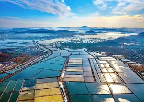 ��������������ƶ���������̬������á���̬+���+���á�����Ч�永��