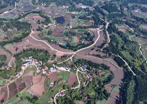 �ڽ��ж�������ȫ�����ø��ر��� ȫ�������õر���