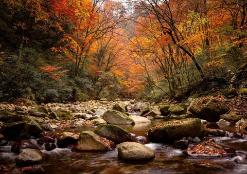 ���й���ɽ��ŵˮ��������ʹ�԰�����й�������ʹ�԰��չ20��������