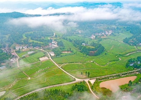 ��������ס���ء������� &nbsp;��Ұǧ��֯����