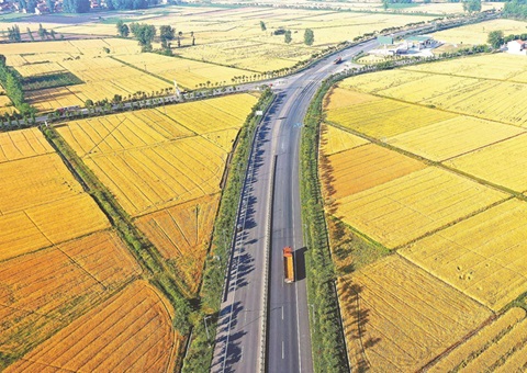 �����ν�ʮ���������Ч͹���أ���ע����