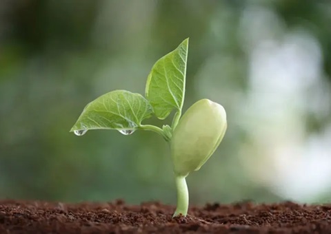 �Ĵ�ʡ���������޳ɸ��У��ݣ����ص��ϸ�����������⳥�߶�