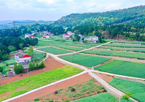 ��Ԫ�з���װ�����ﳤ���Ƽ�������׼��������