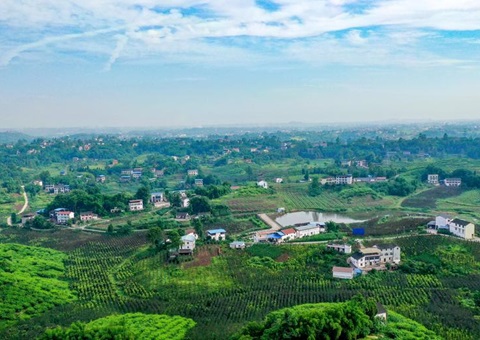 2024����Ĵ�ʡ����������Ȼ��ԴͳһȷȨ�Ǽ���Ŀ����