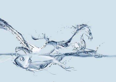 ����ʡʵ��ȫ���׸�Һ�����Ȼ��ԴȷȨ�Ǽ�