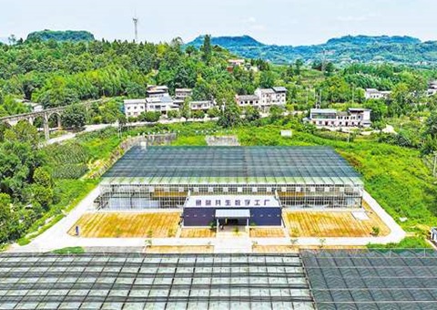 ���죺���Ǹ���&nbsp;&nbsp;��Ƥ������ǻ۹���