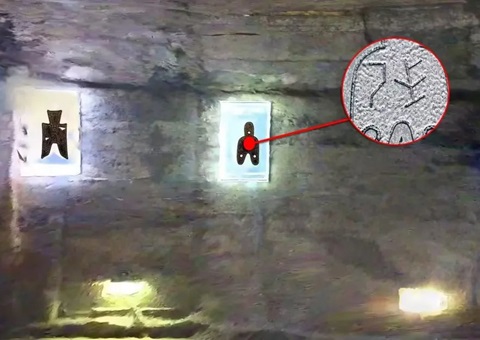 �������֡������� &nbsp;����Ϊ�ܶ�����ע��Ƽ�����