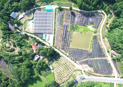 ����ʡ��Ƥ�а���ӪȨ���벻����ͳһ�Ǽǻ���¹�Ч����ʵ��ȫʡ��ͣ�ɷ��¡�