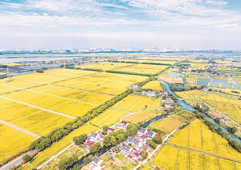 ����ʡȫ�波���õ����ֹ鲢����