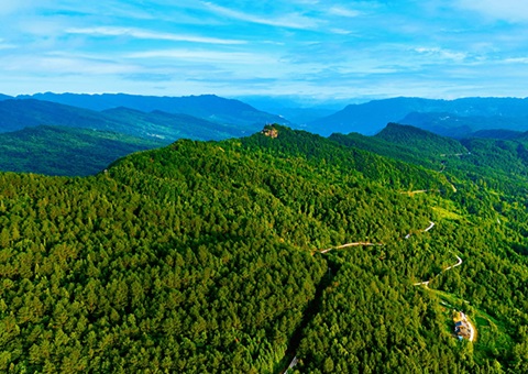 �Ĵ��䲼��4�����ֳ���&nbsp;&nbsp;ȫ�����뼯����Ȩ��ȶ���