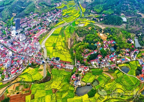 �������ɽ����»�����ȫ���ɽ�ۺ�����Ϊ��������ȫ�����˸���