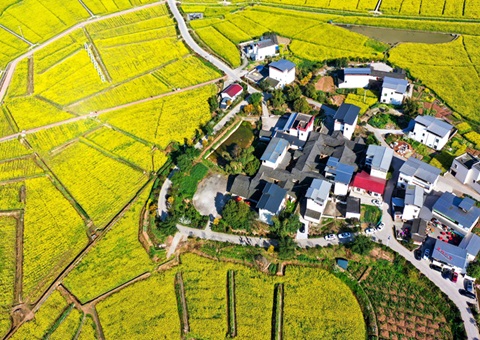 205.7��Ԫ��&nbsp;&nbsp;�Ĵ������´�2025���ν��ƶ��������˲����ʽ�