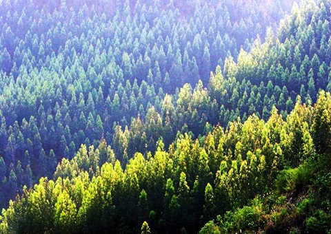 Ч������2�����������¼���������34.2��Ķ�ֵ�ȷȨ��콵��