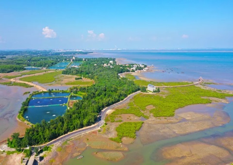 �����������ϣ���ׯ�滮�������塰���䡱