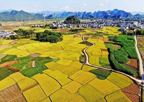 ǿ����ָ�Ӱ�������&nbsp;&nbsp;�����з���500��Ԫ���ر��������������