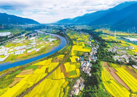 �Ĵ�����ȫ���Ƥ�ۺ����ο��л㱨����ģʽ