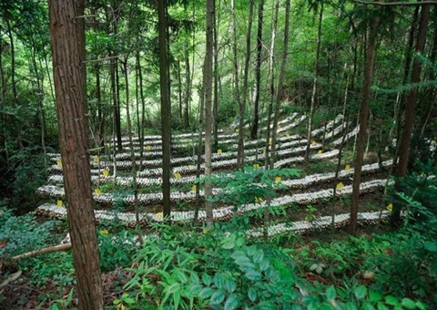 �������ֿɳ�����Ӫ��������̬����ҵ�˲�����Эͬ��չ�¾���