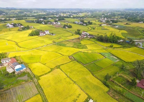 �Ĵ�ʡ�����оֶ��ж���ǿһʱ�õ���������������