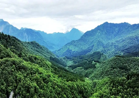 �Ĵ��Ű������衰�츮�����Ŀ⡱ �ƶ����¾��÷�չ