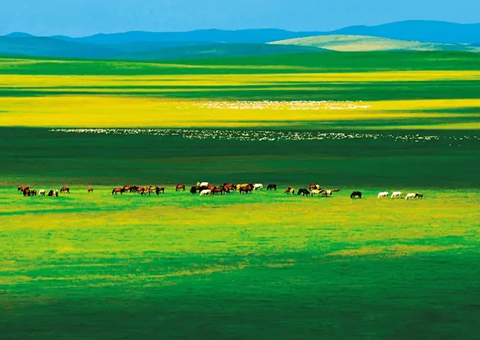 ���ɹţ������ɫ��չ�����ػ�������ˮ��ɽ