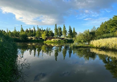 �����人������Ϊ����+������ʪ���ǻ۽�����ģʽ