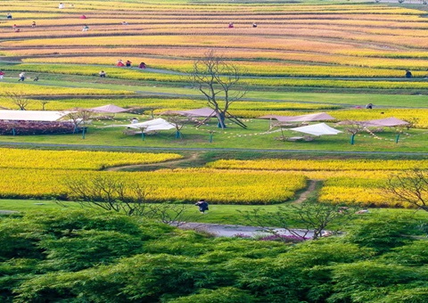 �Ĵ�ʡ�ɶ�����Ȫ�����֡������������������滮��Ƥ��ʵЧ��