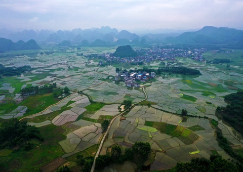 �������ͣ�������29������ؿ鼯���ƽ����Ͷ�����̻�