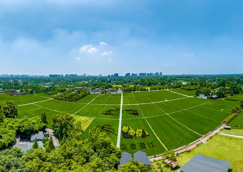 �Ĵ�ʡ�ɶ����½��������ۺϼ�ܼ�ʻ��Ϊ�� &nbsp;&nbsp;ȫ�漤������������Ч��