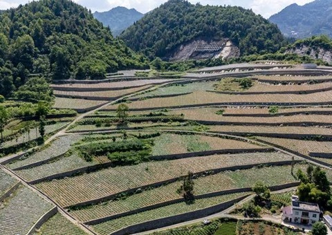 �����ʡ����¼�����ġ���Դ  &nbsp;&nbsp;��������ۏ����̬��ֵת�����辶