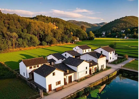 ��Ԫ�в�Ϫ�������õر���+���ر��������Ի������ж�