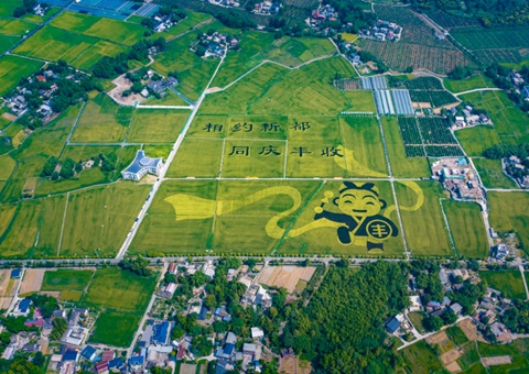 �ɶ��䲼���ر����滮������10���������Ρ��츮���֡�����