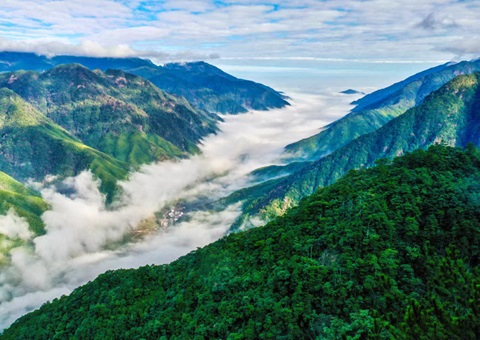 ����ϰ�����ͨ˳��̬��Ʒ��ֵת��