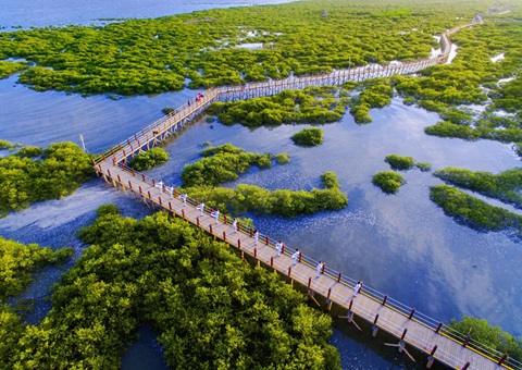 �����д����Ȼ��Դ���ֱ��ա����ȭ��  ��׼���ܴ���ȫ������