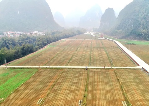 ��������300��Ԫȫ���Ƥ�ۺ����μν��Բ�������   �ƶ�����Ч�����������ٽ������