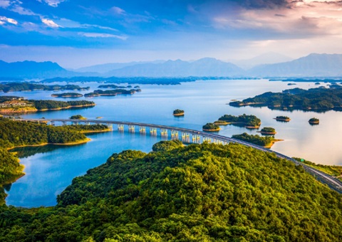 ���������ƶ���Ȼ��Դ�ʲ���Ϲ���