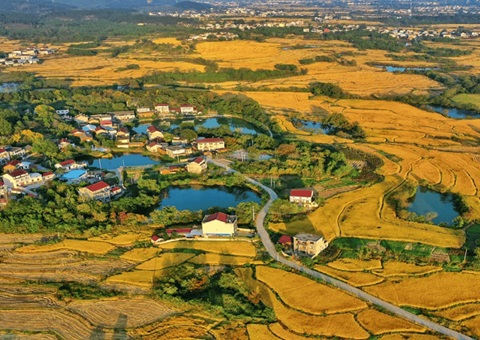 �Ĵ���̨�����Խ���֧��ȫ���Ƥ�ۺ����ι�����֪ͨ